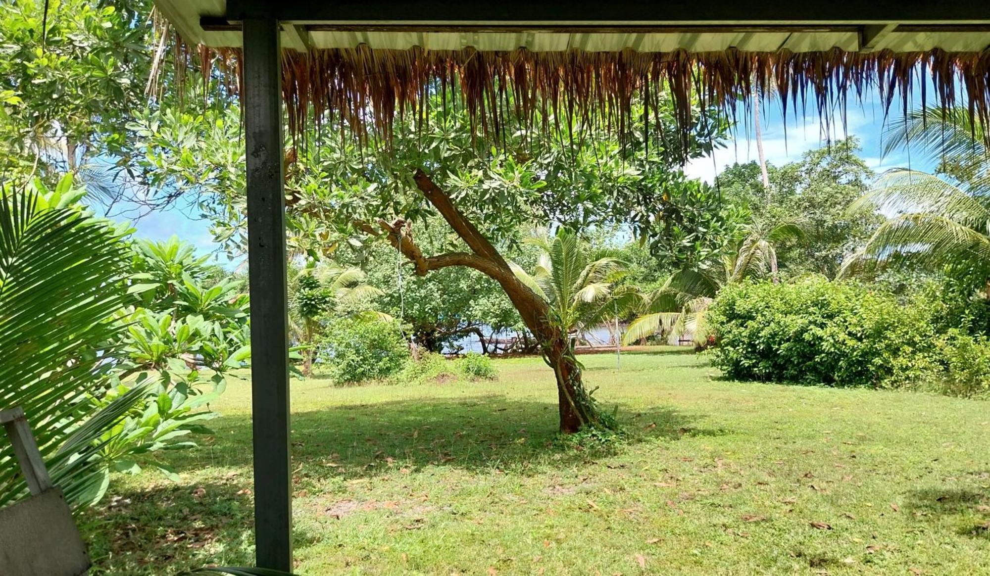 Naivacha Tent كو ماك المظهر الخارجي الصورة