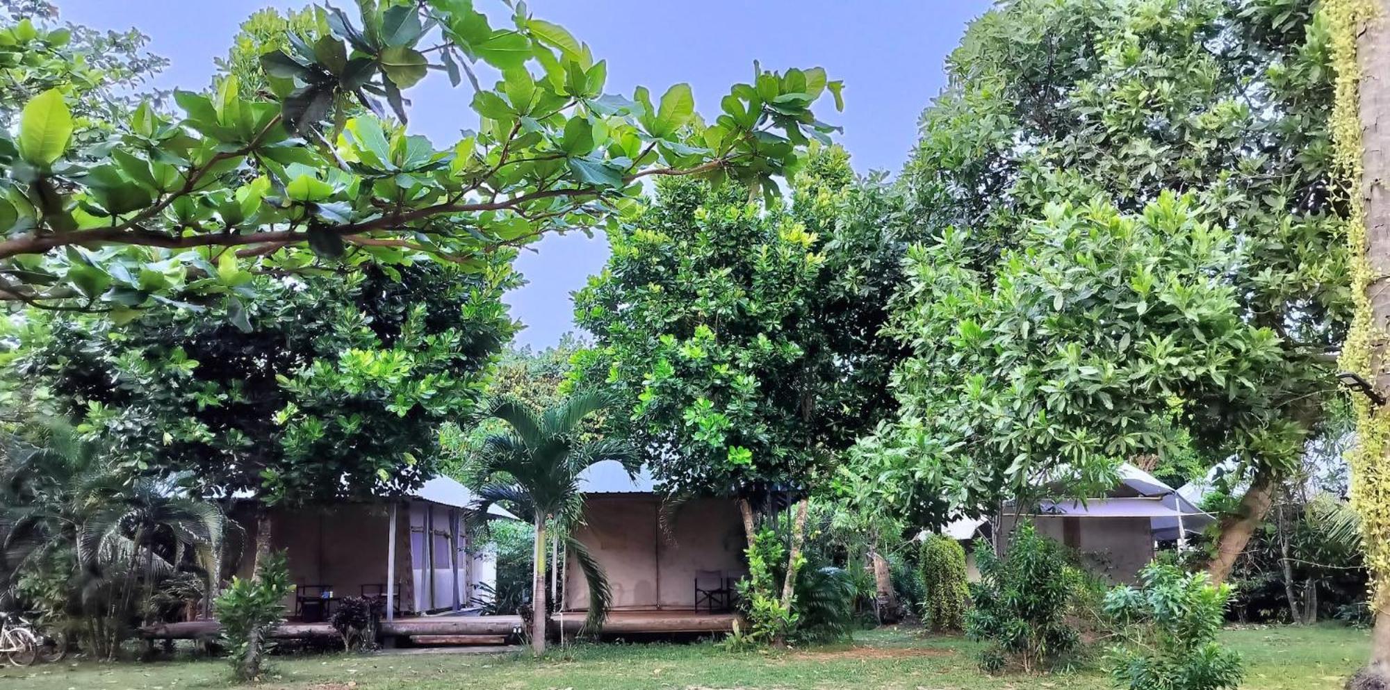 Naivacha Tent كو ماك المظهر الخارجي الصورة