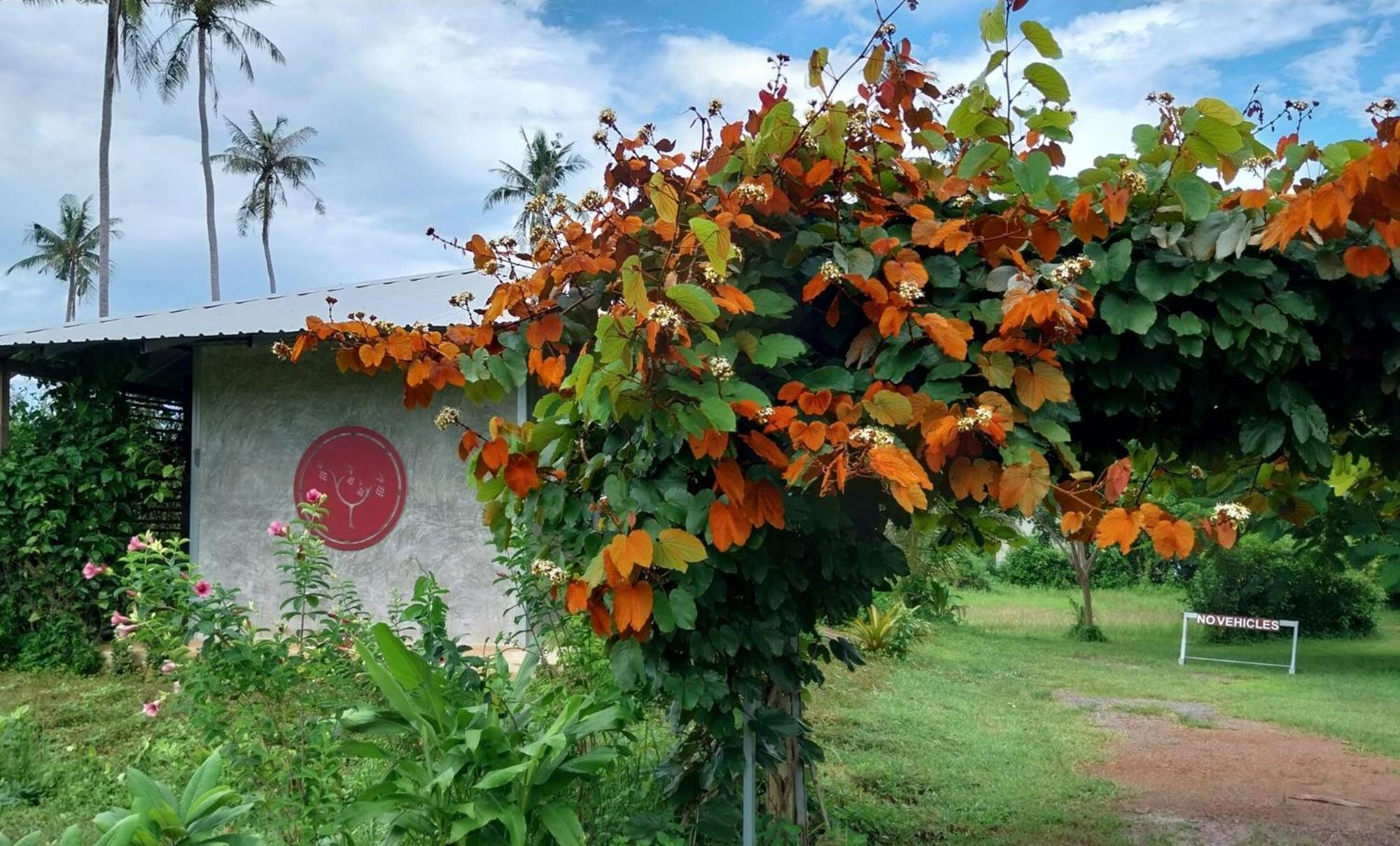 Naivacha Tent كو ماك المظهر الخارجي الصورة