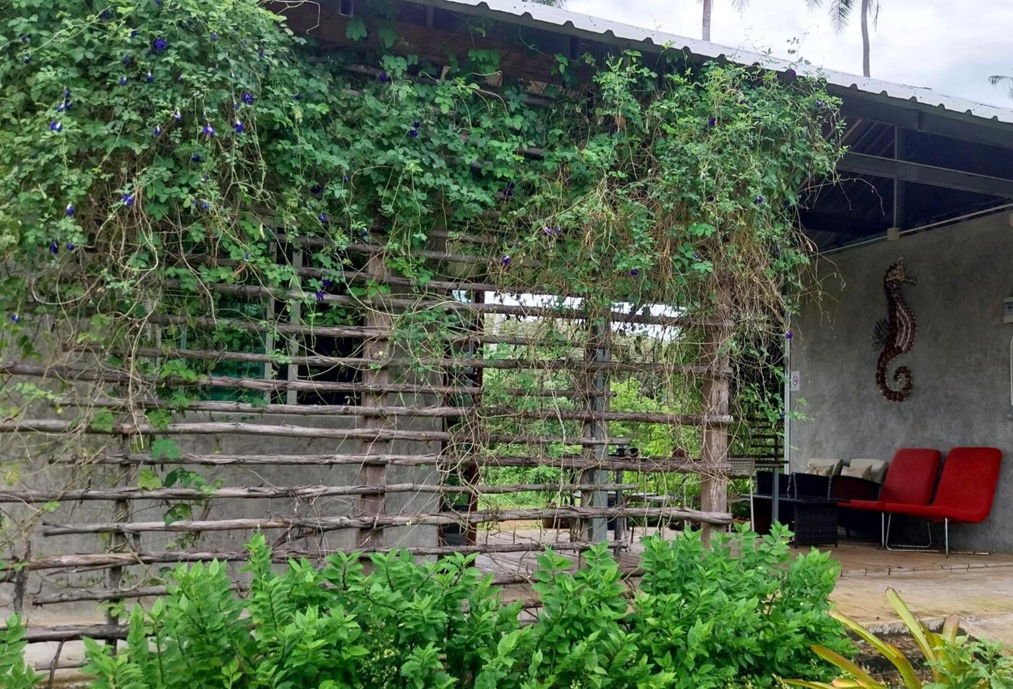 Naivacha Tent كو ماك المظهر الخارجي الصورة
